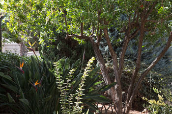 Hotel Cretan Malia Park