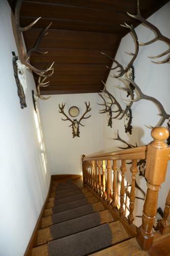 Apartments & Rooms Lipa