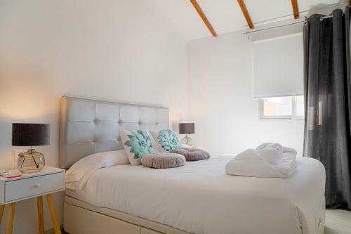 Caleta Homes - Apartamentos Tribuna