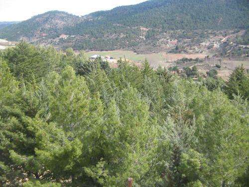 Bed & Breakfast Almenara Hostal Restaurante
