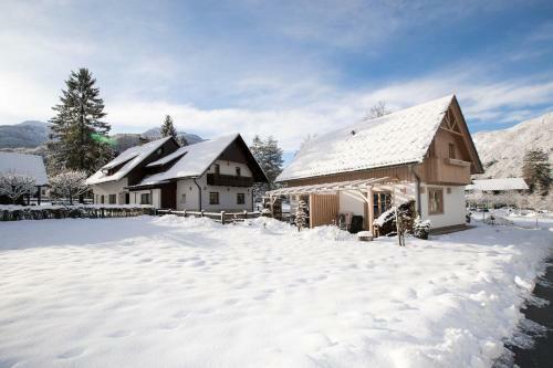 Apartments Alp
