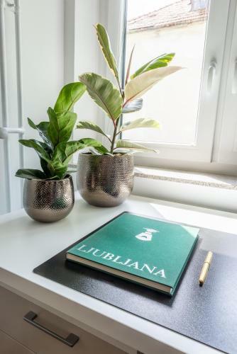 Apartment Drobez