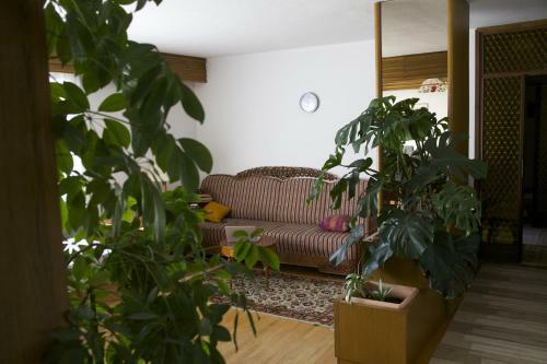 Bed & Breakfast Alparti Mini Hotel