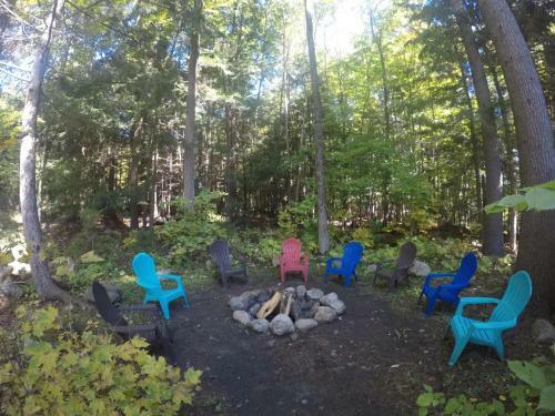 Motel Forest Hill Lodge & Cabins