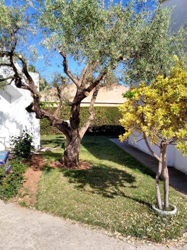 Apartamento Les Illes Alpen1