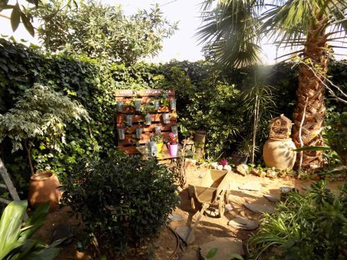 Hostal Mi Campa�a