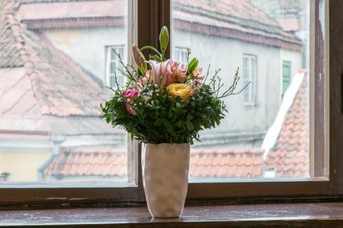 Parkers Boutique Apartments - Old Town
