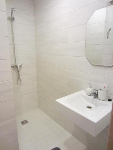 Apartamento Aisa 39