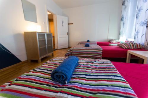 Albergue The Knight House