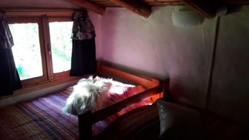 Casa Sur