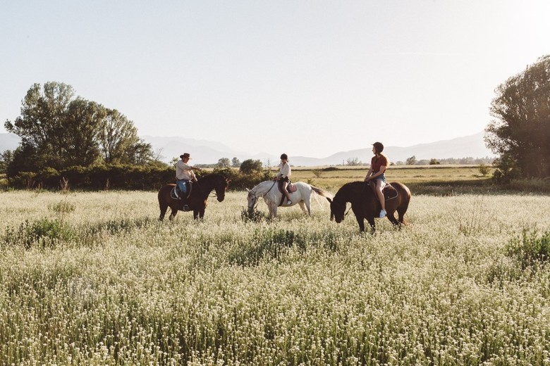 Agroturismo Mas Sant Marc
