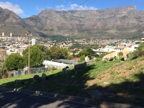 Albergue Upperbloem