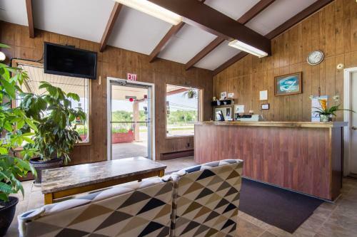 Motel Knights Inn Amsterdam