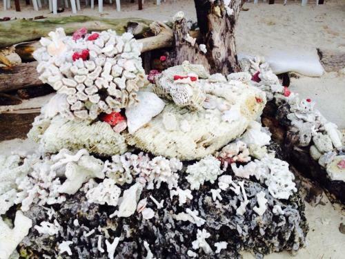 Liwayway Sa Bohol - Pamilacan Bed & Breakfast