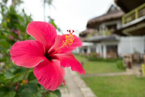 Hotel Daluyon Beach And Mountain Resort
