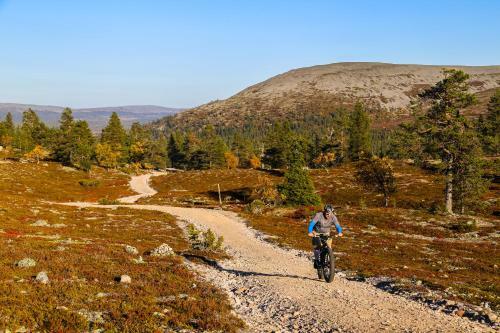 Lodge 67�n Lapland