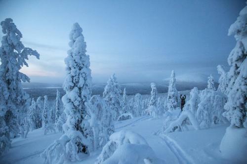 Lodge 67�n Lapland