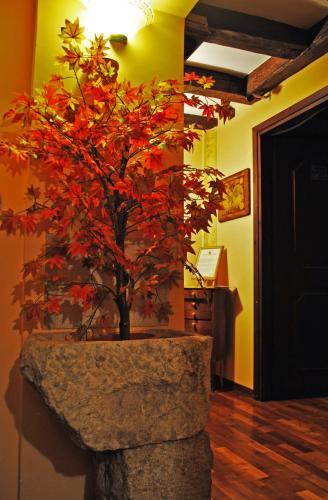 Hotel Porta Cavana