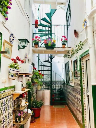 Hostal Pensi�n Juan