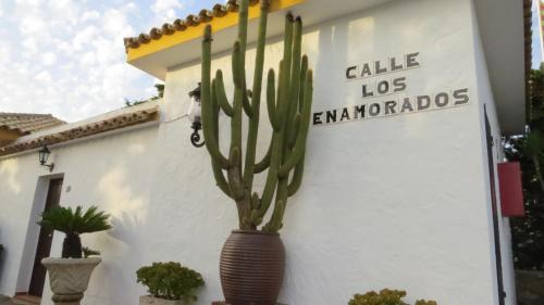 Estudios Bahia De La Plata