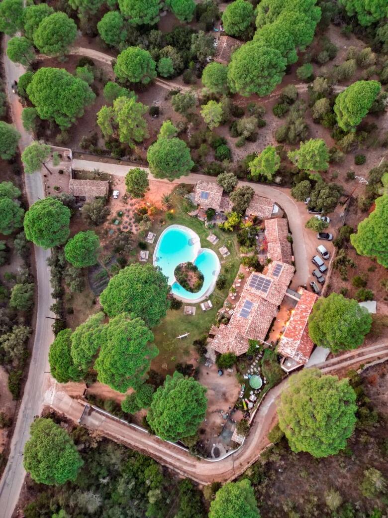 Hotel H�tel Ambassador Palombaggia