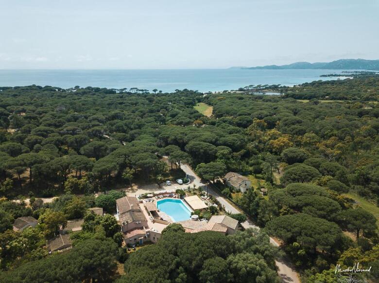 Hotel H�tel Ambassador Palombaggia