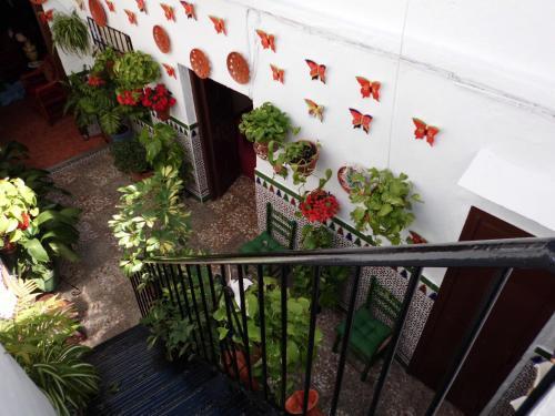 Hostal Pensi�n Agustina