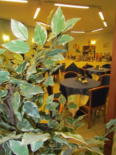 Hotel Le Cerbaie
