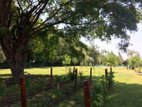 Apartamento Ayres De Cuyo