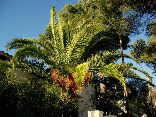 Hostal Casa Ceiba Mar�a