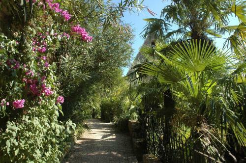 Hotel Auberge Des Platanes