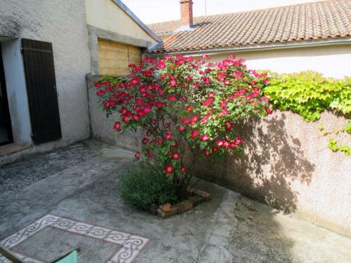 Bed & Breakfast Le Mas Du Fort