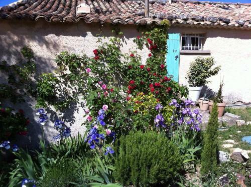 Bed & Breakfast Le Mas Du Fort
