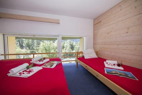 Apartamento Grand Roc 112 Campanules