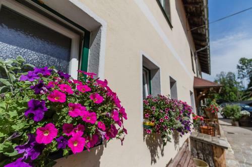 Posada Gasthof Zum Hammer