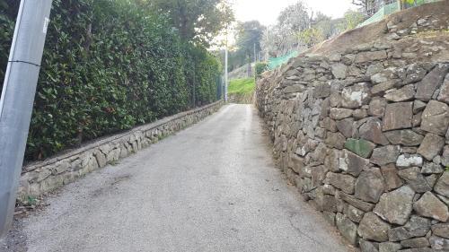 Gli Ulivi