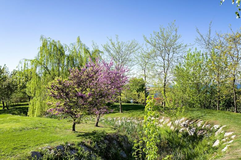 Parc Hotel Germano Suites