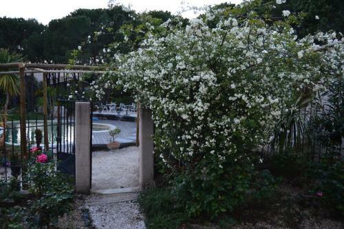 Bed & Breakfast Les Glycines