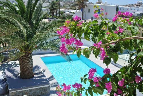 Apartamento La Stella Stay