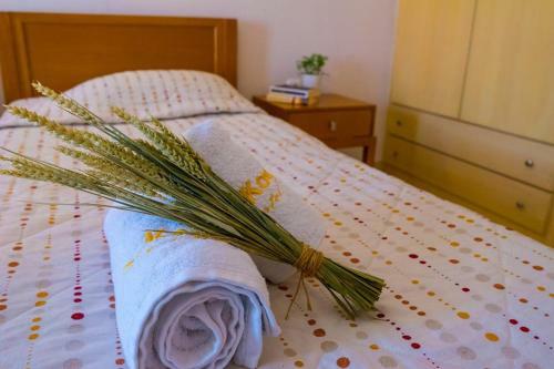 Hotel Kostis