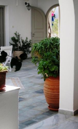 Despina's Rooms And Apartments