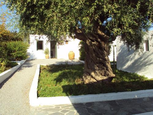 Apartamento Niriides Resort