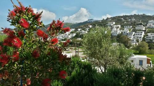 Apartamento Yvonni Studios