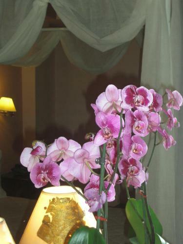 Hotel Anastazia