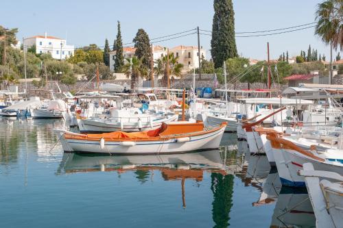 Hostal Mimoza
