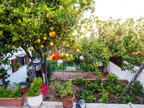 Apartamento Anemoesa