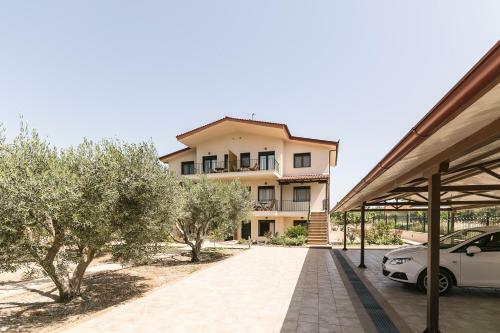 Olive Tree Apartments