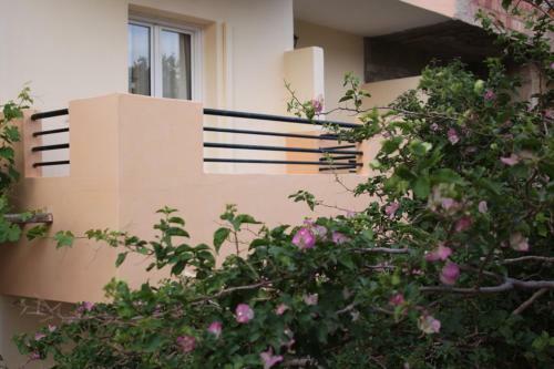 Argyro Apartments And Studios