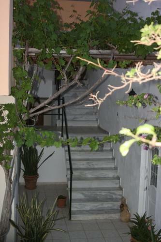 Argyro Apartments And Studios