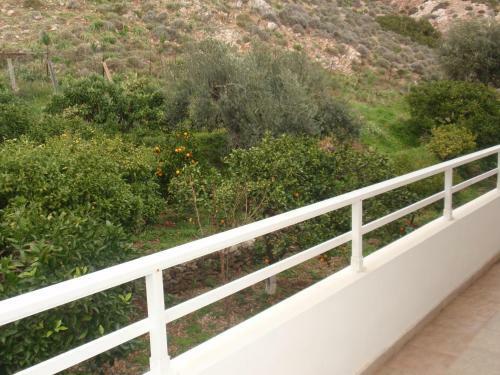 Apartamento Antouan Matina